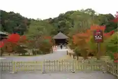 願成寺の建物その他