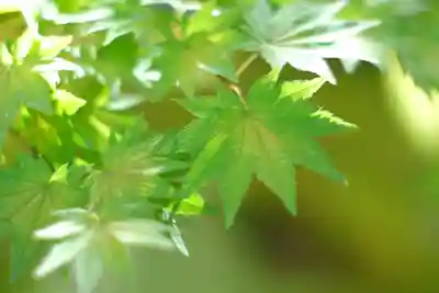 禅林寺(永観堂)(京都府)