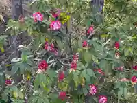 大生郷天満宮の自然