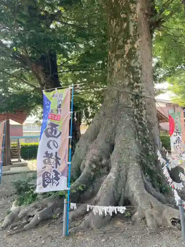 八枝神社(埼玉県)