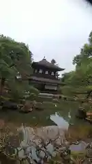 慈照寺（慈照禅寺・銀閣寺）の建物その他