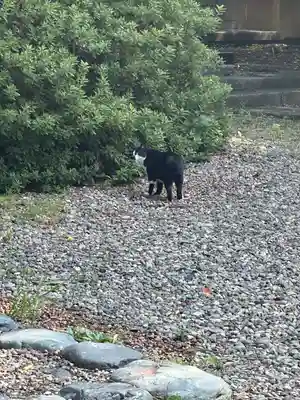 岩手護國神社(岩手県)
