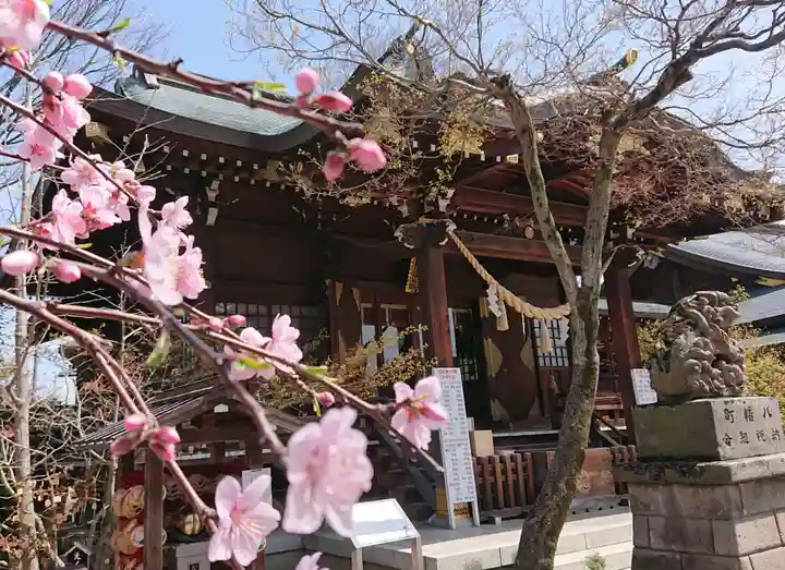 行田八幡神社の自然