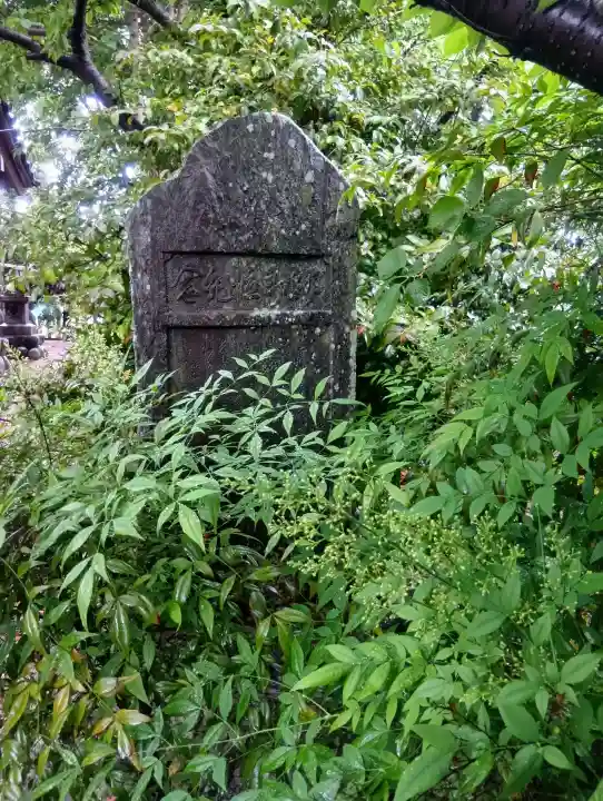 白山神社の{uncategorized: "未分類", other: "その他", undefined: "問題あり", building: "その他建物", grave: "お墓", sacred_gate: "鳥居", guardian: "狛犬", statue: "像", buddha: "仏像", history: "歴史", nature: "自然", garden: "庭園", animal: "動物", pagoda: "塔", temizu: "手水舎", mountain_gate: "山門・神門", sanctuary: "本殿・本堂", subordinate: "末社・摂社", art: "芸術", scenery: "景色", jizo: "地蔵", ema: "絵馬", goshuin: "御朱印", omikuji: "おみくじ", items: "授与品その他", amulet: "お守り", goshuincho: "御朱印帳", eats: "食事", festival: "お祭り", votive_dance: "神楽", shichigosan: "七五三参", wedding: "結婚式", experience: "体験その他", initially: "初詣", around: "周辺", anti_infection: "感染症対策"}