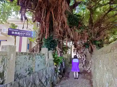 奈良尾神社の自然