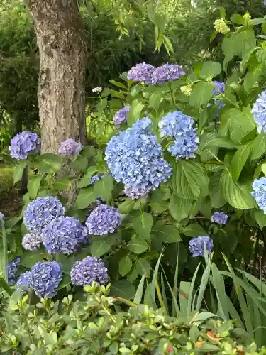 願成寺(福島県)
