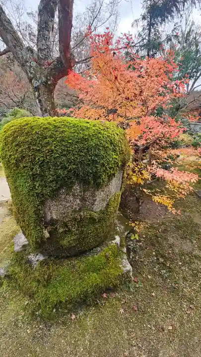 実光院(京都府)
