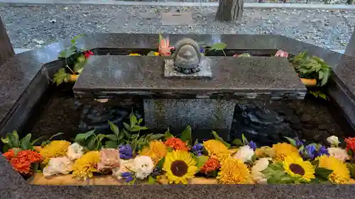 新琴似神社(北海道)