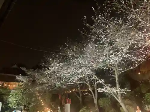 大船観音寺の{uncategorized: "未分類", other: "その他", undefined: "問題あり", building: "その他建物", grave: "お墓", sacred_gate: "鳥居", guardian: "狛犬", statue: "像", buddha: "仏像", history: "歴史", nature: "自然", garden: "庭園", animal: "動物", pagoda: "塔", temizu: "手水舎", mountain_gate: "山門・神門", sanctuary: "本殿・本堂", subordinate: "末社・摂社", art: "芸術", scenery: "景色", jizo: "地蔵", ema: "絵馬", goshuin: "御朱印", omikuji: "おみくじ", items: "授与品その他", amulet: "お守り", goshuincho: "御朱印帳", eats: "食事", festival: "お祭り", votive_dance: "神楽", shichigosan: "七五三参", wedding: "結婚式", experience: "体験その他", initially: "初詣", around: "周辺", anti_infection: "感染症対策"}