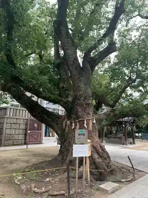 難波神社(大阪府)