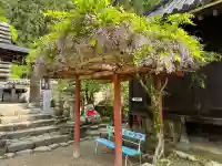 法起院の{uncategorized: "未分類", other: "その他", undefined: "問題あり", building: "その他建物", grave: "お墓", sacred_gate: "鳥居", guardian: "狛犬", statue: "像", buddha: "仏像", history: "歴史", nature: "自然", garden: "庭園", animal: "動物", pagoda: "塔", temizu: "手水舎", mountain_gate: "山門・神門", sanctuary: "本殿・本堂", subordinate: "末社・摂社", art: "芸術", scenery: "景色", jizo: "地蔵", ema: "絵馬", goshuin: "御朱印", omikuji: "おみくじ", items: "授与品その他", amulet: "お守り", goshuincho: "御朱印帳", eats: "食事", festival: "お祭り", votive_dance: "神楽", shichigosan: "七五三参", wedding: "結婚式", experience: "体験その他", initially: "初詣", around: "周辺", anti_infection: "感染症対策"}