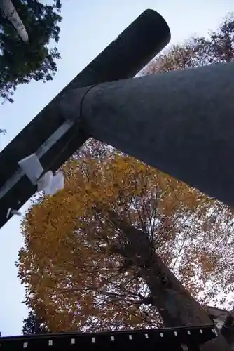 秋葉神社の鳥居