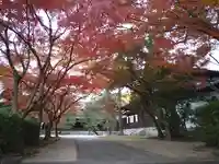 梅林寺(福岡県)