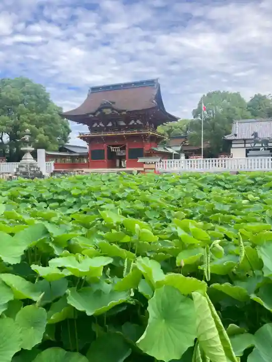 伊賀八幡宮(愛知県)