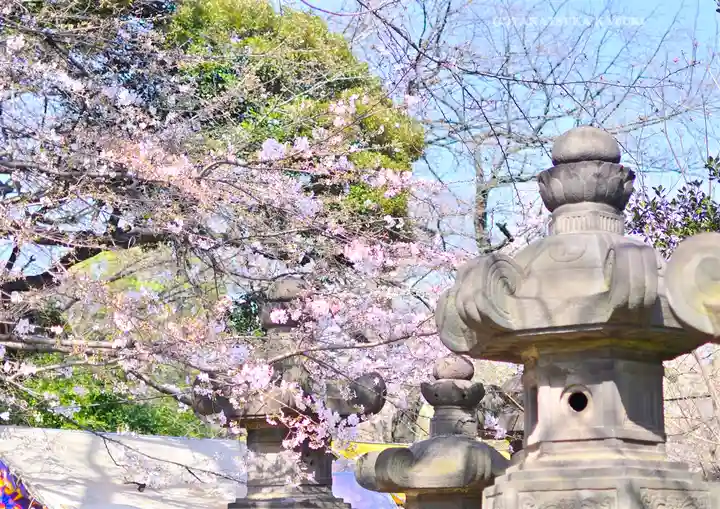 上野東照宮(東京都)