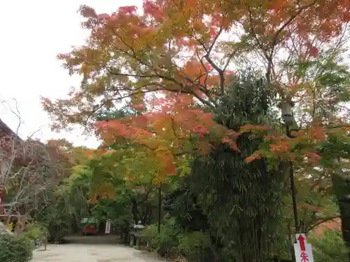 談山神社の景色