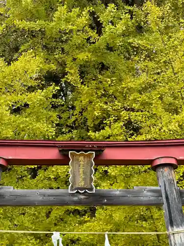 銀杏三寶大荒神(長野県)