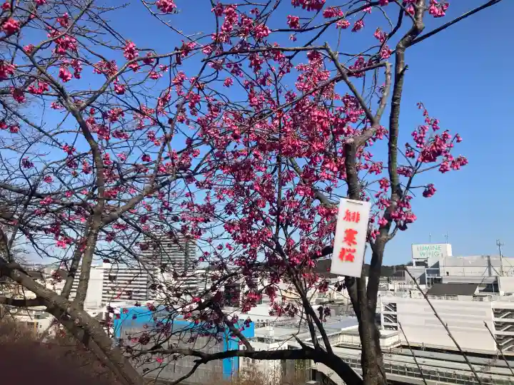 大船観音寺の{uncategorized: "未分類", other: "その他", undefined: "問題あり", building: "その他建物", grave: "お墓", sacred_gate: "鳥居", guardian: "狛犬", statue: "像", buddha: "仏像", history: "歴史", nature: "自然", garden: "庭園", animal: "動物", pagoda: "塔", temizu: "手水舎", mountain_gate: "山門・神門", sanctuary: "本殿・本堂", subordinate: "末社・摂社", art: "芸術", scenery: "景色", jizo: "地蔵", ema: "絵馬", goshuin: "御朱印", omikuji: "おみくじ", items: "授与品その他", amulet: "お守り", goshuincho: "御朱印帳", eats: "食事", festival: "お祭り", votive_dance: "神楽", shichigosan: "七五三参", wedding: "結婚式", experience: "体験その他", initially: "初詣", around: "周辺", anti_infection: "感染症対策"}