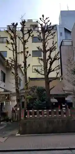 讃岐小白稲荷神社の自然