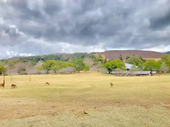 東大寺の{uncategorized: "未分類", other: "その他", undefined: "問題あり", building: "その他建物", grave: "お墓", sacred_gate: "鳥居", guardian: "狛犬", statue: "像", buddha: "仏像", history: "歴史", nature: "自然", garden: "庭園", animal: "動物", pagoda: "塔", temizu: "手水舎", mountain_gate: "山門・神門", sanctuary: "本殿・本堂", subordinate: "末社・摂社", art: "芸術", scenery: "景色", jizo: "地蔵", ema: "絵馬", goshuin: "御朱印", omikuji: "おみくじ", items: "授与品その他", amulet: "お守り", goshuincho: "御朱印帳", eats: "食事", festival: "お祭り", votive_dance: "神楽", shichigosan: "七五三参", wedding: "結婚式", experience: "体験その他", initially: "初詣", around: "周辺", anti_infection: "感染症対策"}