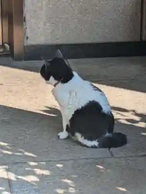 回向院(東京都)