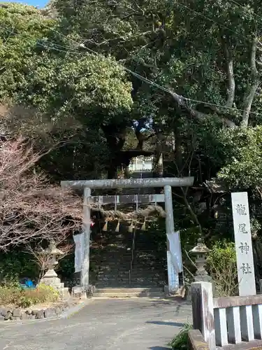 龍尾神社(静岡県)