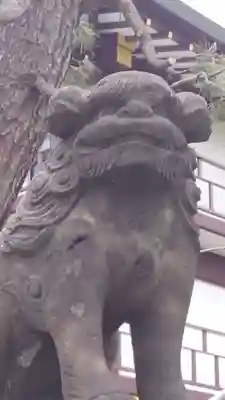 羽田神社の狛犬
