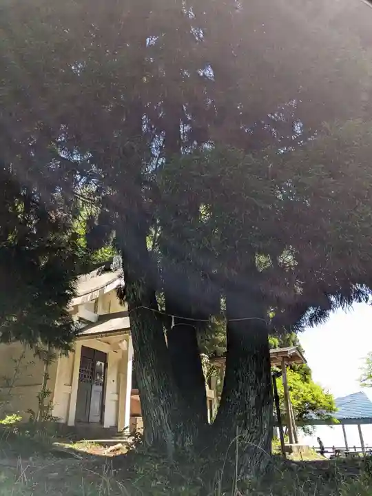 多度大社(三重県)