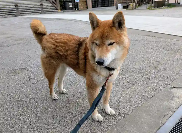 感通寺(東京都)