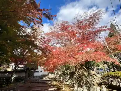 神峯山寺(大阪府)