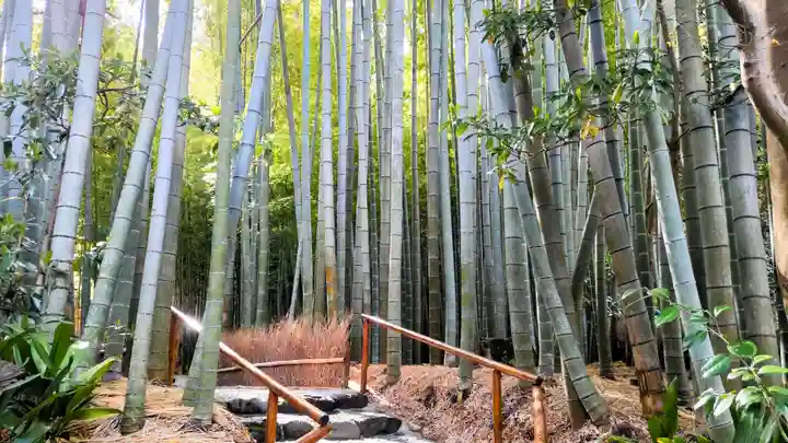 報国寺(神奈川県)