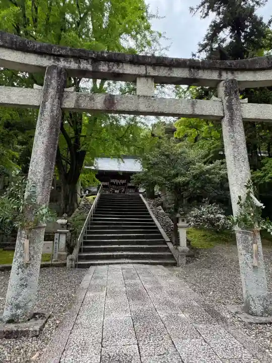 新神社の{uncategorized: "未分類", other: "その他", undefined: "問題あり", building: "その他建物", grave: "お墓", sacred_gate: "鳥居", guardian: "狛犬", statue: "像", buddha: "仏像", history: "歴史", nature: "自然", garden: "庭園", animal: "動物", pagoda: "塔", temizu: "手水舎", mountain_gate: "山門・神門", sanctuary: "本殿・本堂", subordinate: "末社・摂社", art: "芸術", scenery: "景色", jizo: "地蔵", ema: "絵馬", goshuin: "御朱印", omikuji: "おみくじ", items: "授与品その他", amulet: "お守り", goshuincho: "御朱印帳", eats: "食事", festival: "お祭り", votive_dance: "神楽", shichigosan: "七五三参", wedding: "結婚式", experience: "体験その他", initially: "初詣", around: "周辺", anti_infection: "感染症対策"}