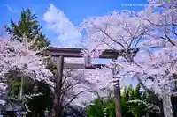 冨士御室浅間神社(山梨県)