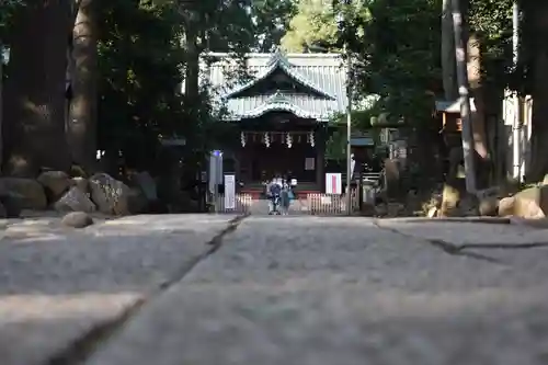 代々木八幡宮の本殿・本堂