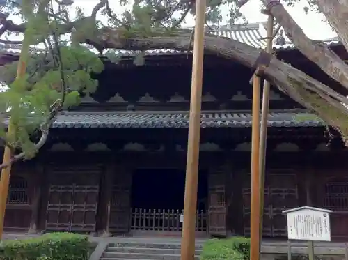 大徳寺の本殿・本堂