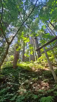 戸隠神社宝光社(長野県)