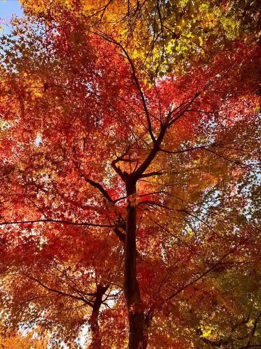 伊達神社(北海道)