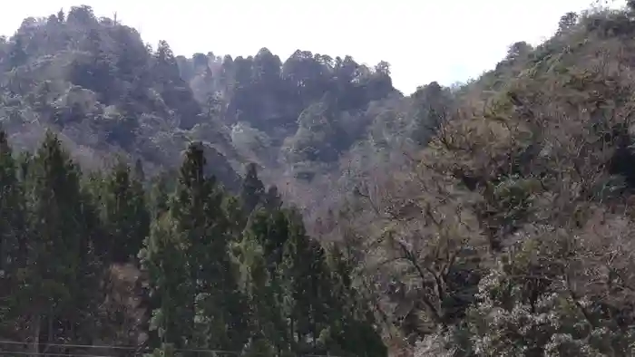 三佛寺の建物その他