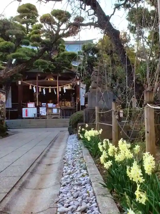 鳩森八幡神社の庭園