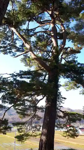 大江神社(北海道)