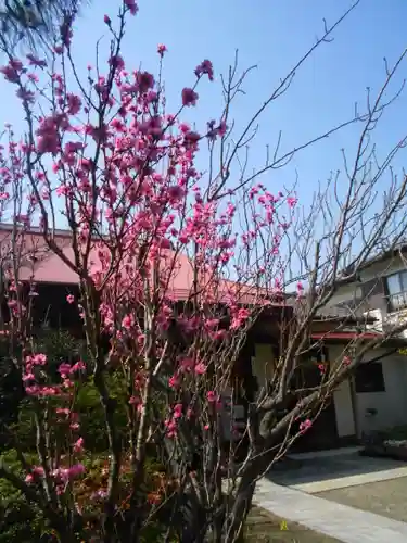 向福寺の庭園