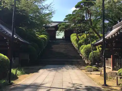 護国寺の山門