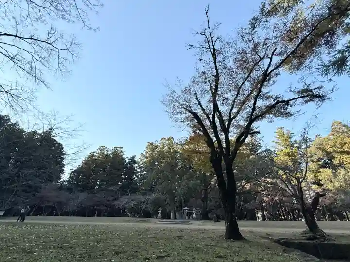 大斎原(熊野本宮大社旧社地)(和歌山県)