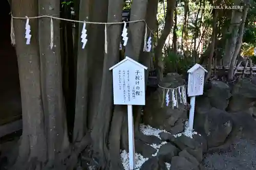 検見川神社の自然