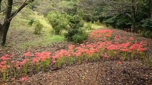 明鏡山龍雲寺の周辺