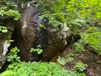 小菅神社奥社(長野県)