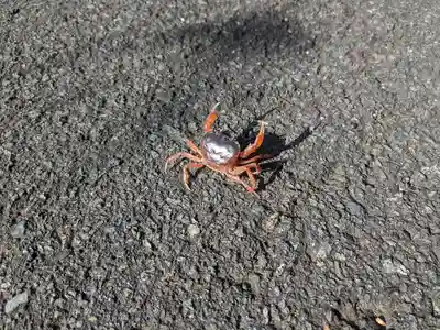 松尾寺(京都府)