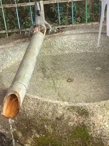 池原神社の手水