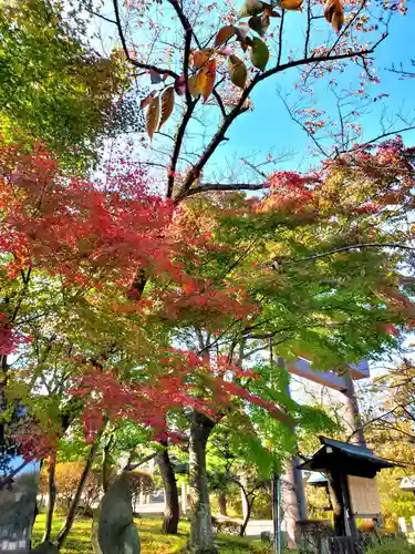開成山大神宮の自然