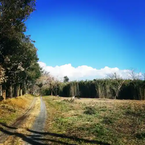 大生神社の自然